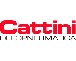 Cattini Logo